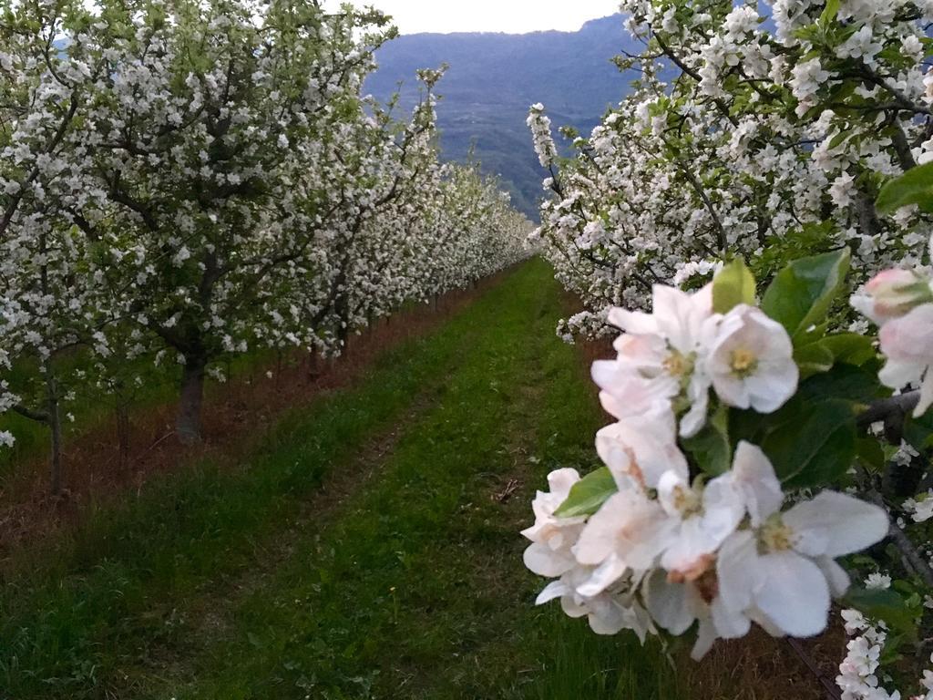 Arcovacanze Exteriér fotografie